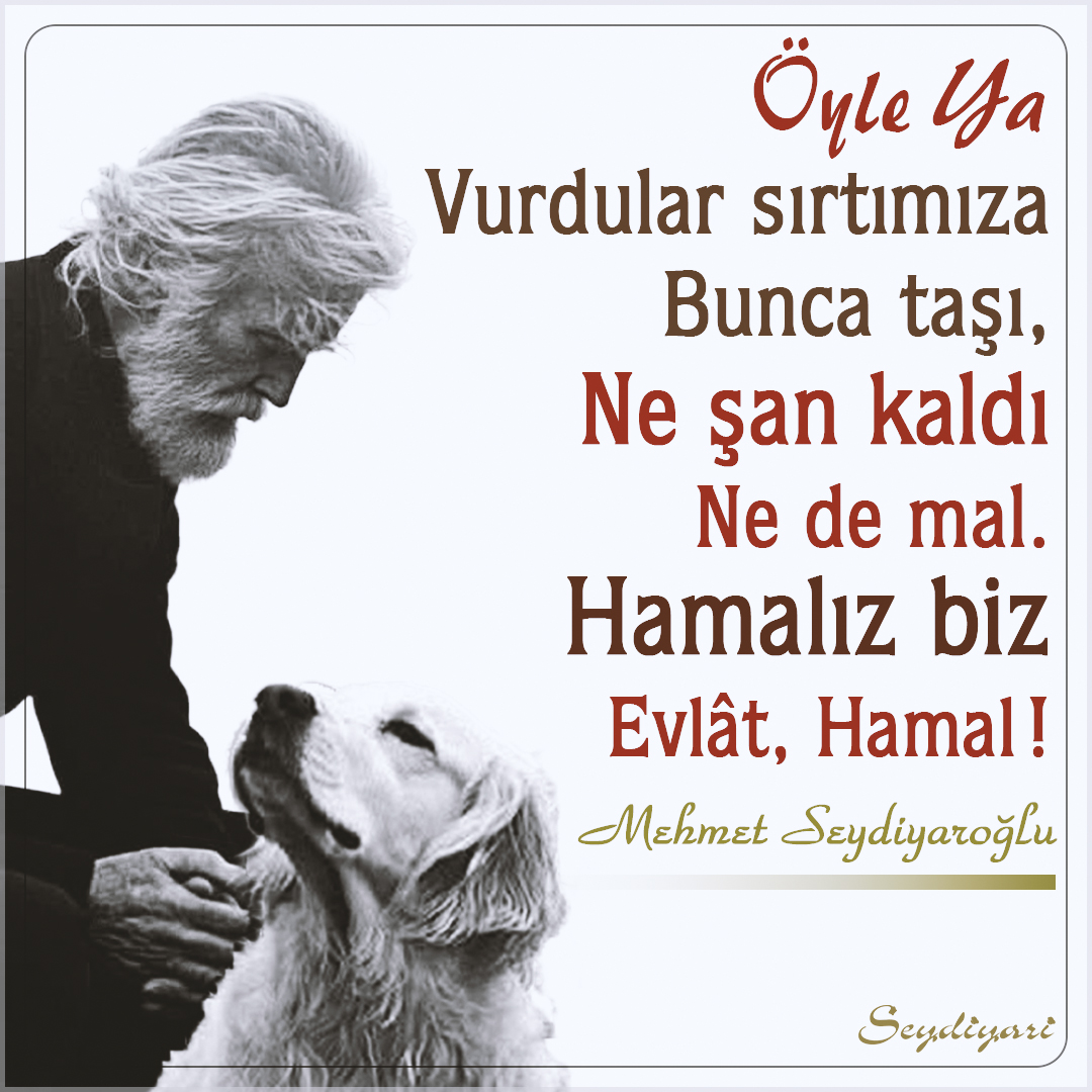 Mehmet Seydiyaroğlu