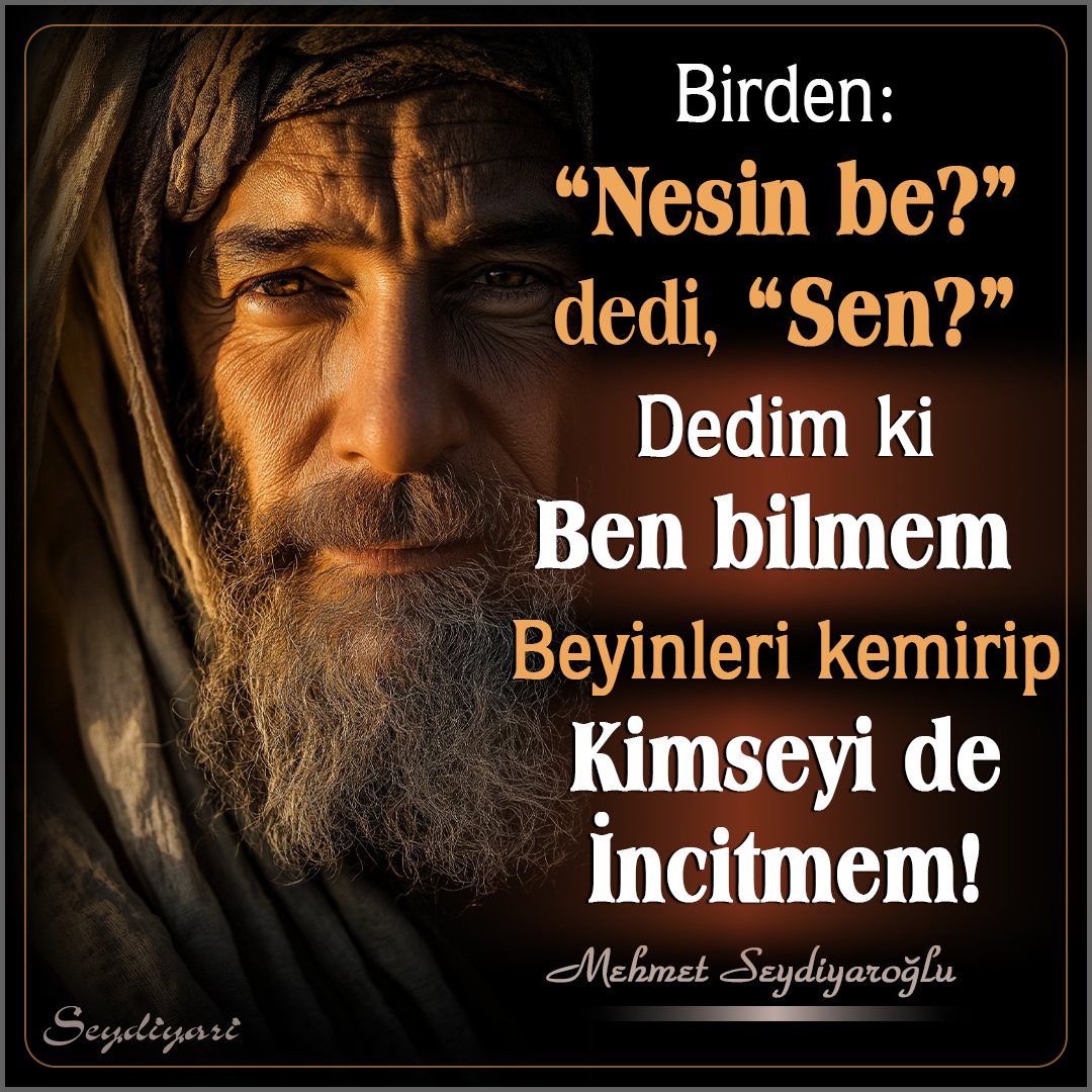 Mehmet Seydiyaroğlu