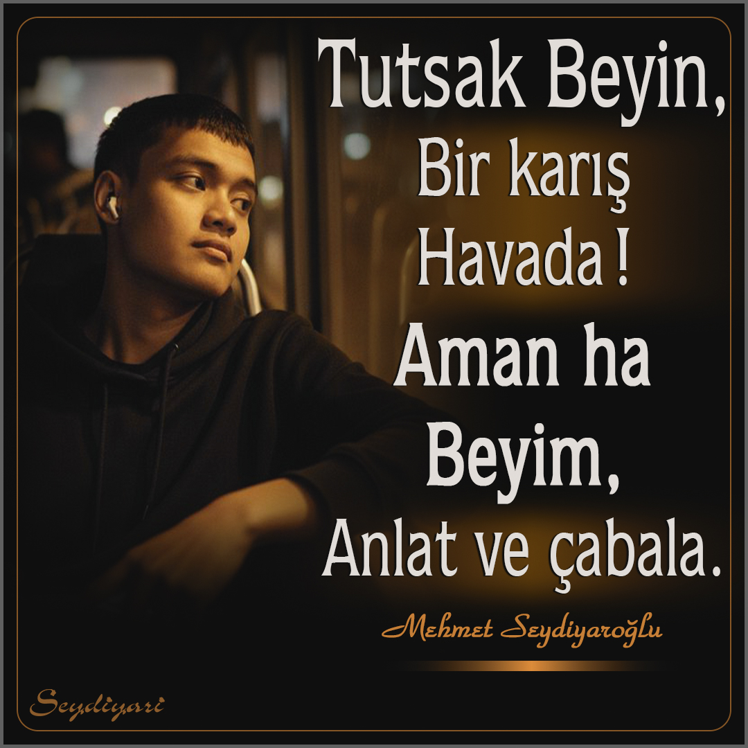 Mehmet Seydiyaroğlu