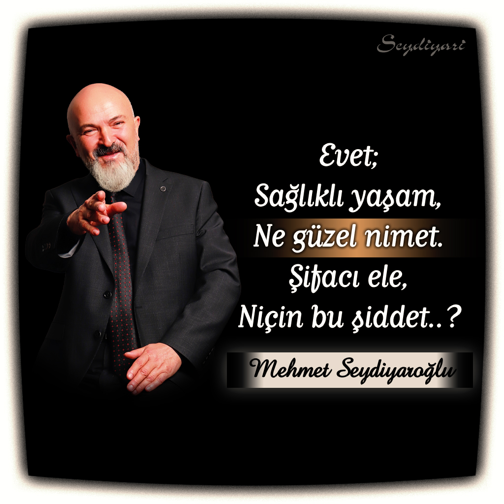 Mehmet Seydiyaroğlu