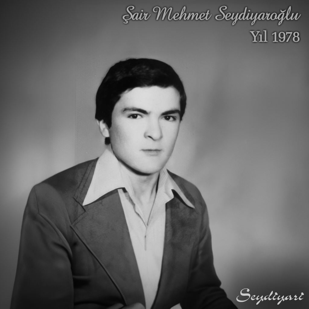 Mehmet Seydiyaroğlu